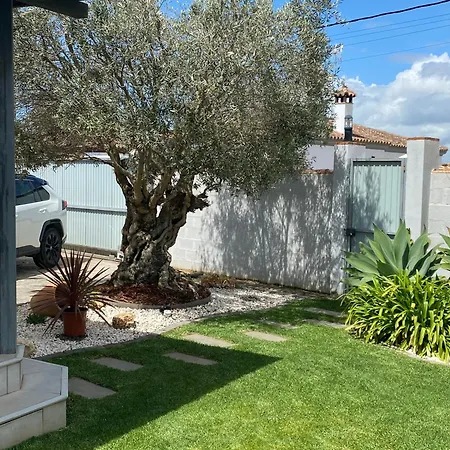 Arbol Del Tule Holiday home